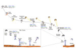 Schéma přistání vozítka Curiosity na Marsu.