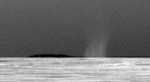 certik_oppy Prašný vír na snímku z Opportunity. Credit: NASA/JPL-Caltech/Cornell University/Texas A&M