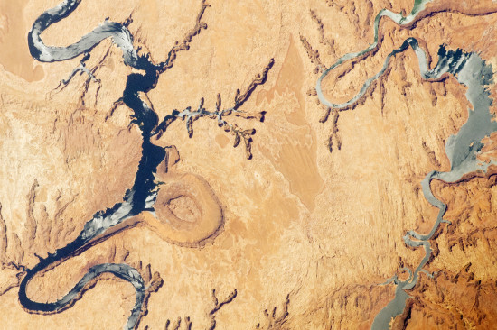 Hadi? Ne, jen kaňony a jezero Powell v Utahu a Arizoně z ISS. Credit: NASA