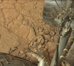 Kola Curiosity