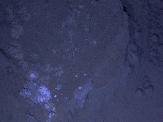 Stejná oblast osvětlená UV LED světlem. Credit: NASA