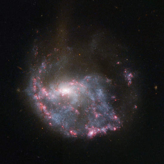 Galaxie NGC 922
