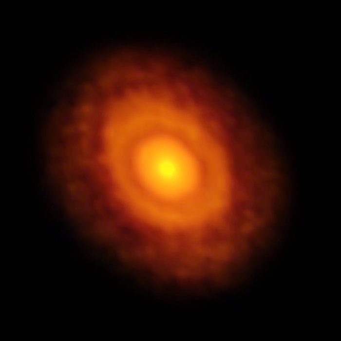 Snímek disku u V883 Orionis z ALMA. Credit: ALMA (ESO/NAOJ/NRAO)/L. Cieza