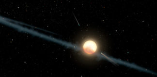 Klíč k záhadě? Slavná Tabbyina hvězda je zřejmě dvojhvězdou Tabbyina hvězda (kresba). Credit: NASA/JPL-Caltech