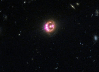 Možný objev prvních exoplanet v cizí galaxii! Je jich tam jako máku Čočkovaný kvasar RXJ1131-1231. Credit: NASA/CXC/Univ of Michigan/R.C.Reis et al