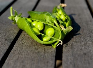 Je vesmír plný hráškových lusků? Možná se na data s exoplanetami jen špatně díváme Foto: Pixabay