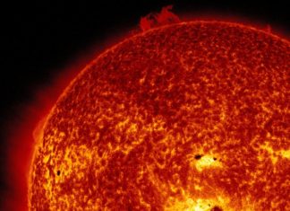 Slunce jako ideální matka? Neurazí, ale ani nenadchne. Oranžoví trpaslíci jsou lepší